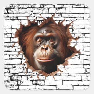 3D Orang-oetan Muurbreuk Kunst – Realistische Safa Vierkante Sticker