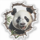 3D Panda Muurbreek Kunst – Realistische Safari Sticker (Voorkant)