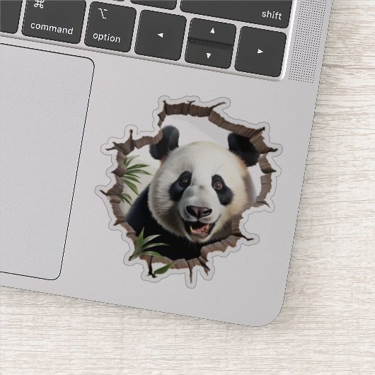 3D Panda Muurbreek Kunst – Realistische Safari Sticker (Detail)
