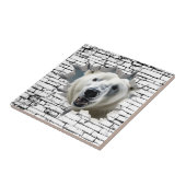 3D Polar Bear Wall Break Art – Realistic Safari Tegeltje (Zijkant)