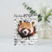 3D Red Panda Wall Break Art – Realistic Safari Briefkaart (Staand voorkant)