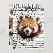 3D Red Panda Wall Break Art – Realistic Safari Briefkaart (Voorkant / Achterkant)