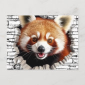 3D Red Panda Wall Break Art – Realistic Safari Briefkaart (Achterkant)