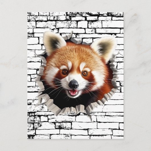 3D Red Panda Wall Break Art – Realistic Safari Briefkaart (Voorkant)