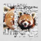3D Rode Panda Muurbreuk Kunst – Realistische Safar Briefkaart (Voorkant / Achterkant)
