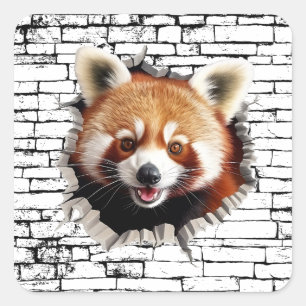 3D Rode Panda Muurbreuk Kunst – Realistische Safar Vierkante Sticker