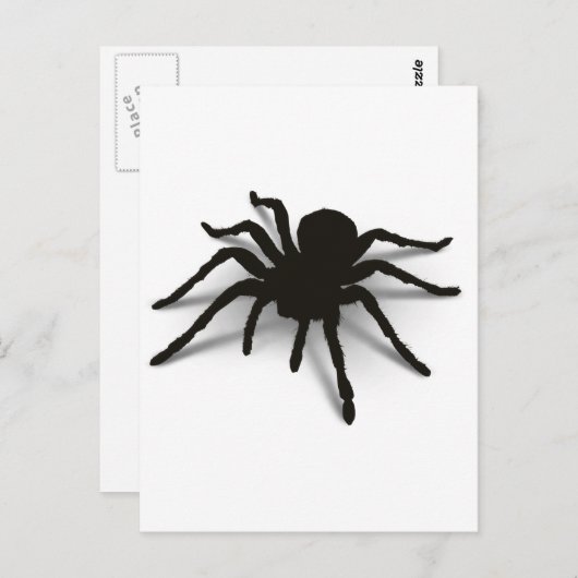 3D-spin Briefkaart (Voorkant / Achterkant)