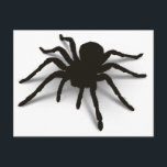 3D-spin Briefkaart<br><div class="desc">Wobblefin 3d Spider design,  nog een</div>
