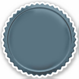 3D Stalen Blauwe Zegels Folie Ster-explosie Onders Sticker