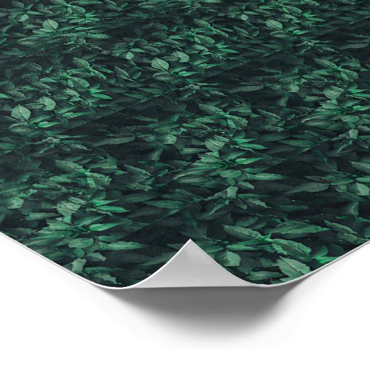 3D Stereogram Verborgen Terug Off Poster (Hoek)