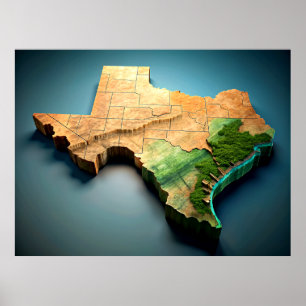 3D Texaanse kaart Poster