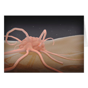 3D Uitgeven van macrofaagfagocytose