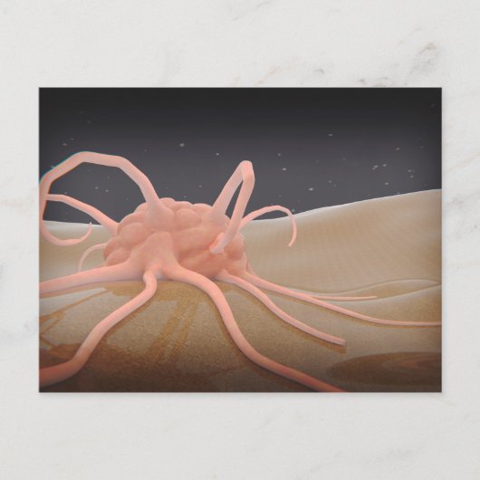 3D Uitgeven van macrofaagfagocytose Briefkaart (Voorkant)