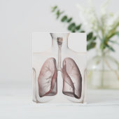 3D Uitzicht van het ademhalingssysteem van de Vrou Briefkaart (Staand voorkant)