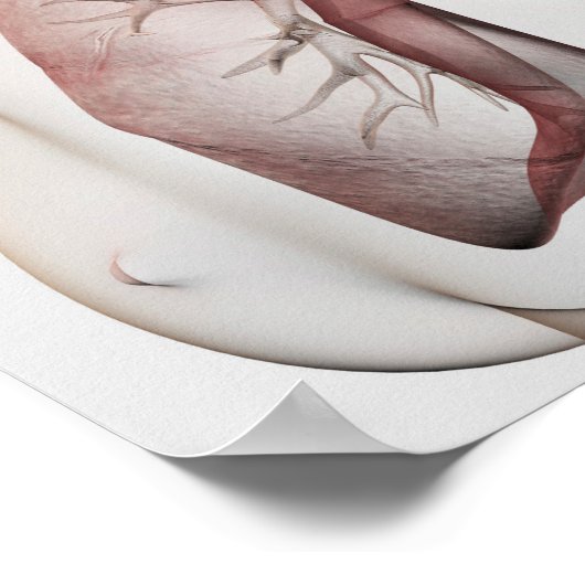 3D Uitzicht van het ademhalingssysteem van de Vrou Poster (Hoek)