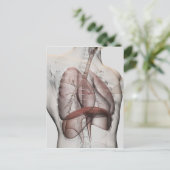 3D Uitzicht van het ademhalingssysteem voor mannen Briefkaart (Staand voorkant)