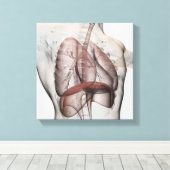 3D Uitzicht van het ademhalingssysteem voor mannen Canvas Afdruk (Insitu (Houten vloer))