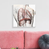 3D Uitzicht van het ademhalingssysteem voor mannen Canvas Afdruk (Insitu (Woonkamer))