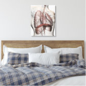 3D Uitzicht van het ademhalingssysteem voor mannen Canvas Afdruk (Insitu (Slaapkamer))