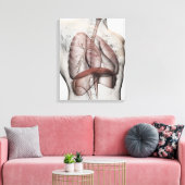 3D Uitzicht van het ademhalingssysteem voor mannen Canvas Afdruk (Insitu (Woonkamer))
