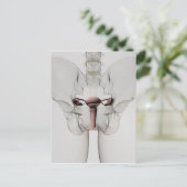 3D Uitzicht van het voortplantingssysteem van Vrou Briefkaart (Staand voorkant)
