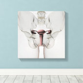 3D Uitzicht van het voortplantingssysteem van Vrou Canvas Afdruk (Insitu (Houten vloer))