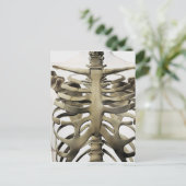 3D Uitzicht van Vrouw sternum- en ribkooien Briefkaart (Staand voorkant)