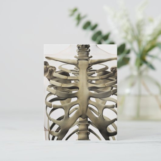 3D Uitzicht van Vrouw sternum- en ribkooien Briefkaart (Staand voorkant)