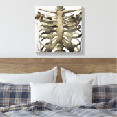 3D Uitzicht van Vrouw sternum- en ribkooien Canvas Afdruk (Insitu (Slaapkamer))