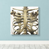 3D Uitzicht van Vrouw sternum- en ribkooien Canvas Afdruk (Insitu (Houten vloer))