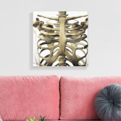3D Uitzicht van Vrouw sternum- en ribkooien Canvas Afdruk (Insitu (Woonkamer))