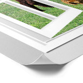 3D-venster Schuif Uitzicht Alpaca Llama Wall Art Poster (Hoek)