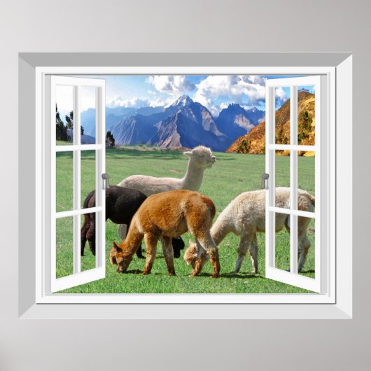 3D-venster Schuif Uitzicht Alpaca Llama Wall Art Poster (Voorkant)