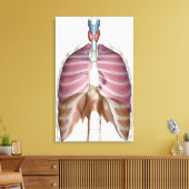 3d weergave van de ademhalingswegen canvas afdruk (Insitu (Woonkamer))