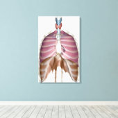 3d weergave van de ademhalingswegen canvas afdruk (Insitu (Houten vloer))