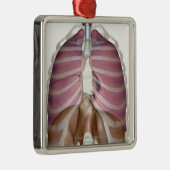 3d weergave van de ademhalingswegen metalen ornament (Rechts)