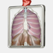 3d weergave van de ademhalingswegen metalen ornament (Links)