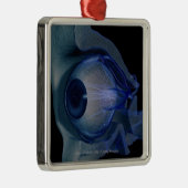 3d wireframe van de oogspieren in een socket metalen ornament (Rechts)