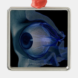 3d wireframe van de oogspieren in een socket metalen ornament