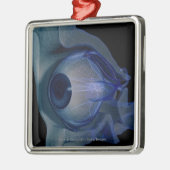 3d wireframe van de oogspieren in een socket metalen ornament (Links)