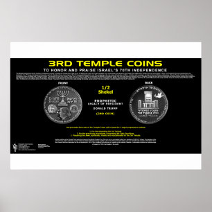 3e Tempel Munt-2 Poster