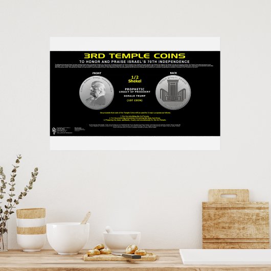 3e-tempelmunt-1 poster (Keuken)