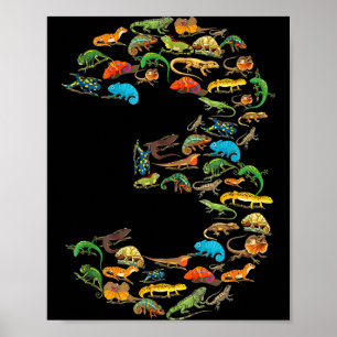 3e verjaardag reptielen hagedissen 3 jaar verjaard poster
