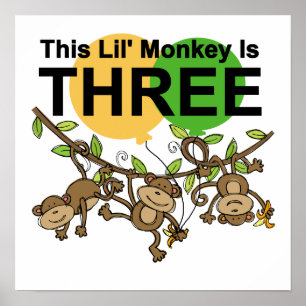 3e verjaardag van apen overhemden en cadeaus poster