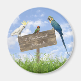 3FF magneet