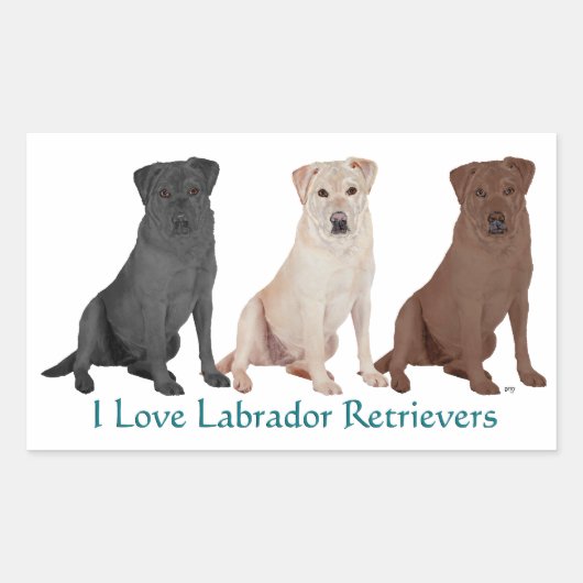 3Labs Rechthoekige Sticker (Voorkant)