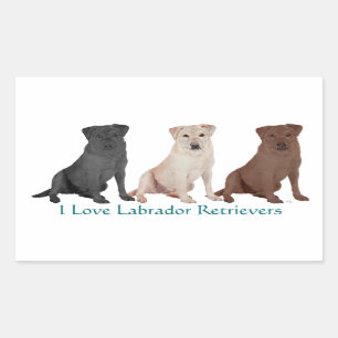 3Labs Rechthoekige Sticker