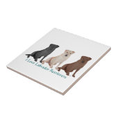 3Labs Tegeltje (Zijkant)