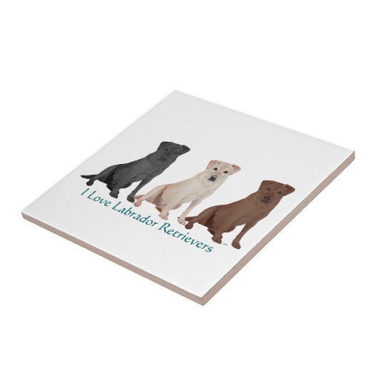 3Labs Tegeltje (Zijkant)