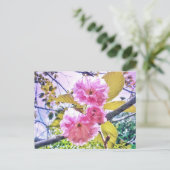 3PINK BLOSSOMS LIGHT BRIEFKAART (Staand voorkant)
